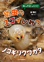 紹介ページ